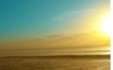 Brand New Day